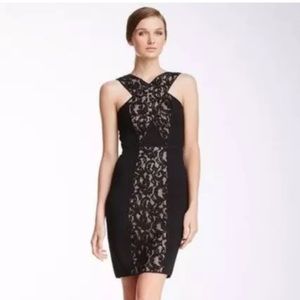 $338 BCBG MAXAZRIA CLAUDINE CRISSCROSS BODICE lace back zip DRESS size 4